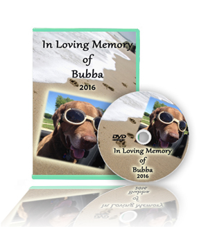 Slideshows for Pet Memorials